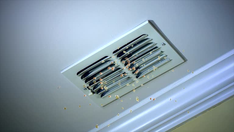 Best Local Air Duct Cleaning Services  in Essex Junction, VT