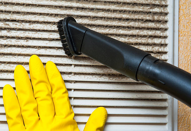 Best Air Vent Cleaning Services  in Essex Junction, VT